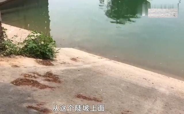 孩子被气得离家出走(离家出走的孩子的心理)(图4)