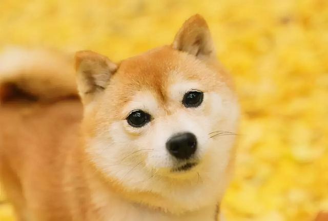 孩子离家出走怎么补救(孩子离家出走了怎么才能找到)(图6)