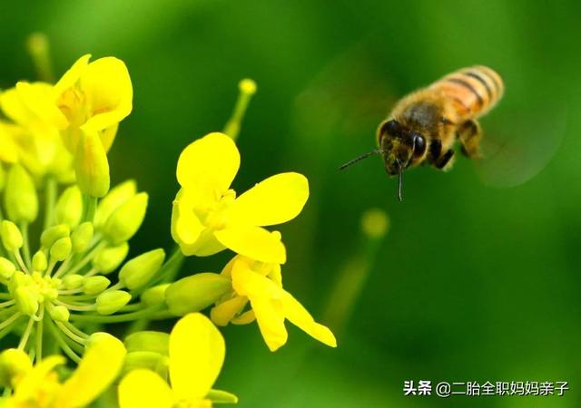 上学早恋怎么办(孩子不好好上学早恋怎么办呢)(图3)