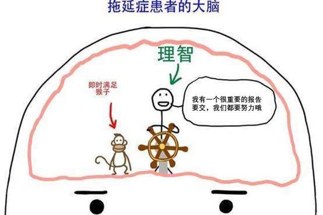 初中退学了还能复学吗(小学退学了还能复学吗)(图1)