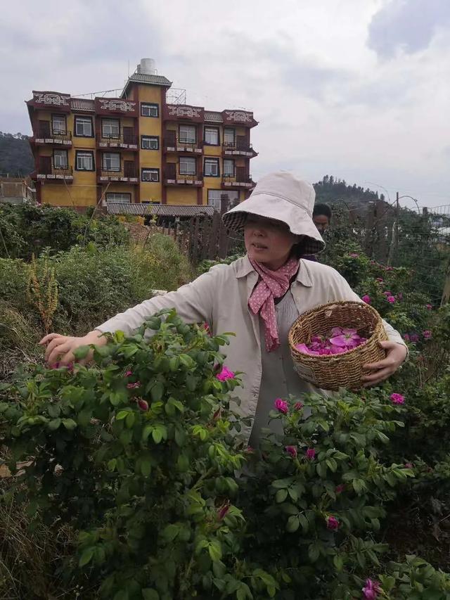 如何应对厌学的孩子(如何纠正孩子厌学)(图1)