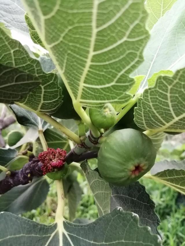 如何应对厌学的孩子(如何纠正孩子厌学)(图5)