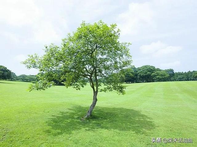 怎么解决孩子早恋问题(孩子早恋怎么处理比较好)(图1)