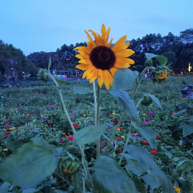 孩子做错事后鼓励的话(对做错事孩子鼓励)(图4)