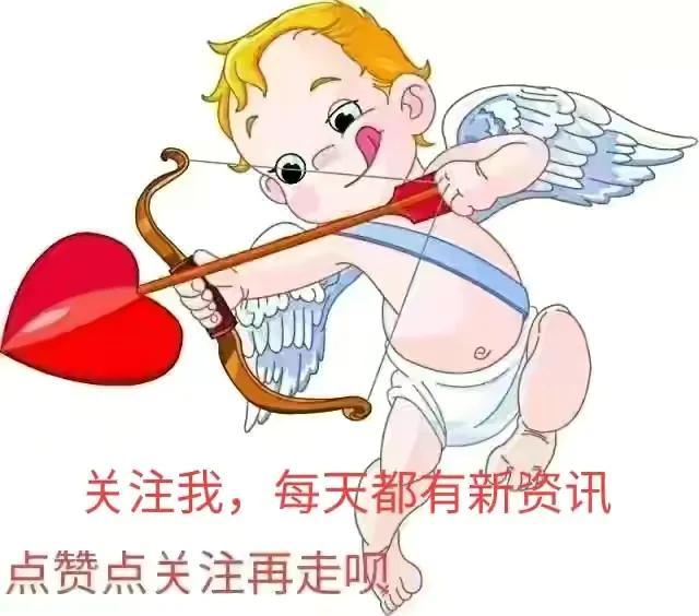 高中不想读了怎么办(一个高中生不想上学怎么办)(图3)