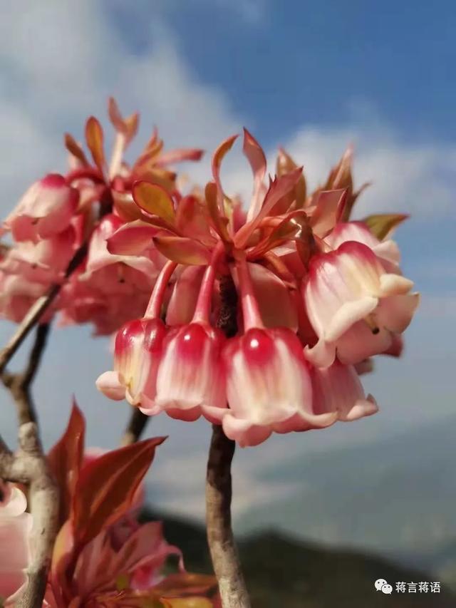 如何对付孩子不去上学(如何对付倔强的孩子)(图2)