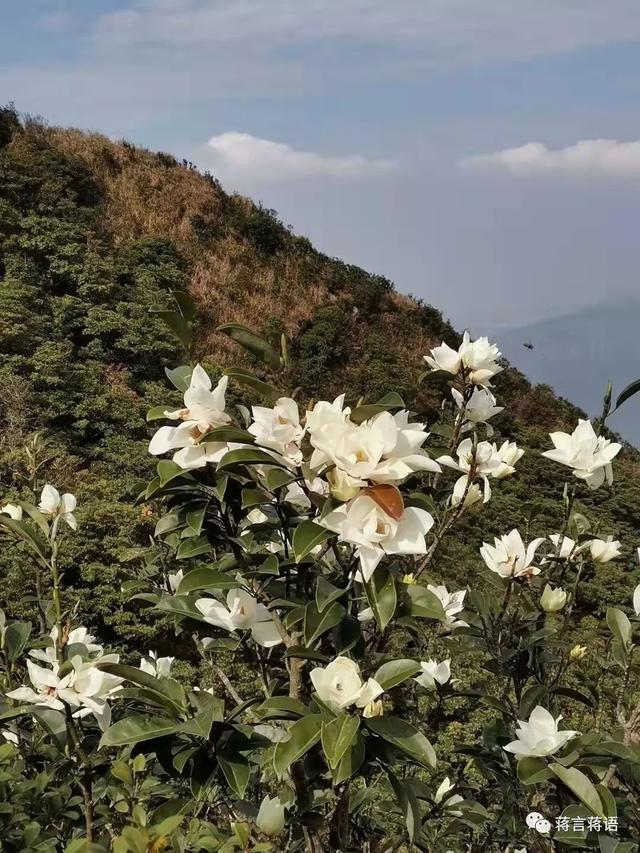 如何对付孩子不去上学(如何对付倔强的孩子)(图3)