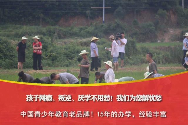 管教学校哪家学习环境好(管教学校哪里好)(图3)